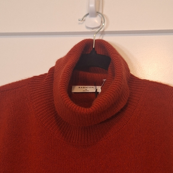 Aritzia Babaton Cashmere 100% Turtleneck Sweater Oversized Burnt Orange Medium - Picture 4 of 12